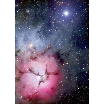 Enjoy - Puzzle The Trifid Nebula - 1 000 piese
