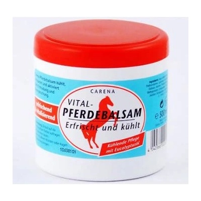 Bio-Vital konská masť chladivý gél Pfederbalsamerfrischt und kuhlt 500 ml