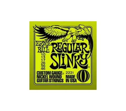 Ernie Ball 2221