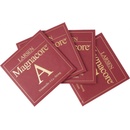 Larsen Magnacore Vcl set