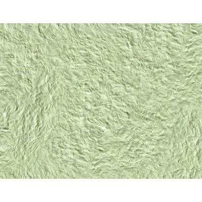 SILKCOAT ТЕЧЕН ТАПЕТ prestige silkcoat 0.750кг 311 (7311)