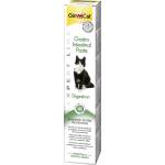 Gimborn Gim Cat Pasta ExpertLine INTESTINAL 50g