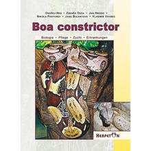 Boa constrictor