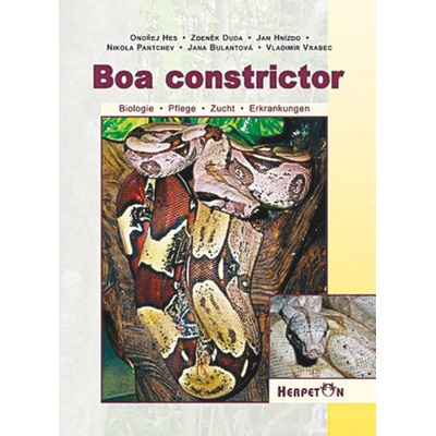 Boa constrictor