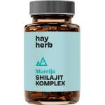 Hay Herb Shilajit - 60 капсули