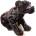Panter