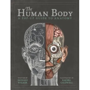 The Human Body | Richard Walker (ISBN: 9781787410589)