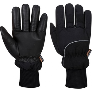 Portwest APACHA COLD STORE A751 / Зимни ръкавици с подплата Insulatex - черни L (A751BKRL)