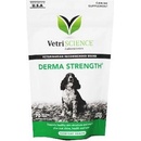 VetriScience Derma Strenght podp.kůže psi 70 ks 140 g