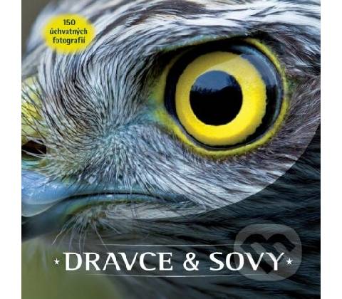 Dravce a sovy