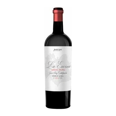 Javier Sanz Viticultor Paraje la Encina suché červené 2022 13,8% 0,75 l (holá láhev)