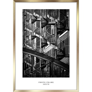 STYLER Рамка за стена в златно, 53 x 73 cm Floryda - Styler (RA-14848)