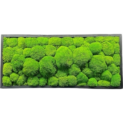 Mechový obraz - Kopečkový mech Druh rámu: 160x70cm