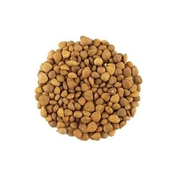 Svět Plodů Marhuľové jadrá sladké 500 g