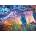 Cherry Pazzi - Puzzle Kookaburra Nightindayle - 1 000 piese