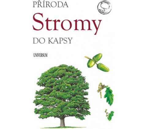 Stromy
