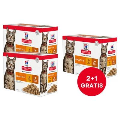 HILL'S Science Plan Feline Adult Multipack Poultry Selection x12 ks 2+1 ZADARMO 85 g