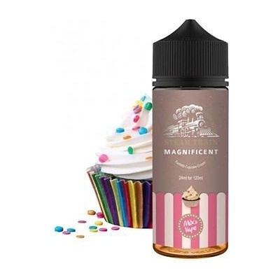 Steam Train Magnificent 24ml/120ml