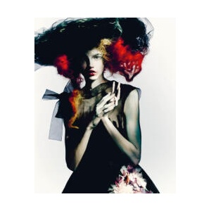Paolo Roversi (ISBN: 9780500029206)
