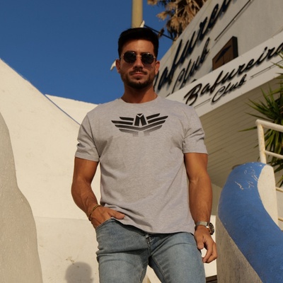 Iron Aesthetics Pánske športové tričko Break sivé Sivá