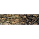 ATG pozadie Kořeny 200 x 50 cm