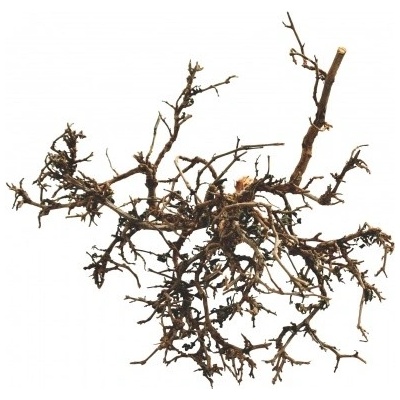 Lucky Reptile Desert Bushes prírodné