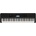 Yamaha PSR-EW320