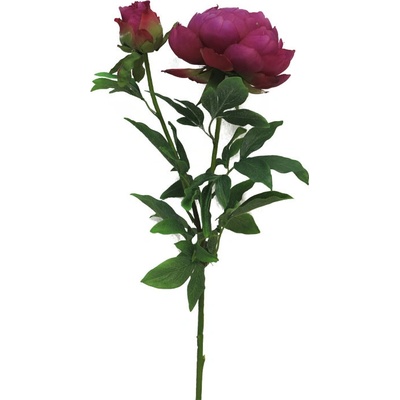 Pivonka - Peonia velká beauty / červená x2 93cm