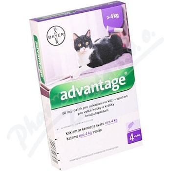 Advantage spot-on pre malé mačky a králiky 80 mg 4 x 0,8 ml