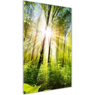 Vertikálny foto obraz sklenený Slnko v lese 50x100 cm