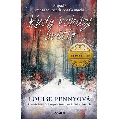 Kudy vchází světlo - Louise Penny