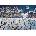 Art Puzzle - Puzzle Dance On Ice - 2 000 piese