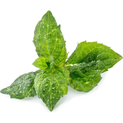Véritable Lingot Mäta klasnatá