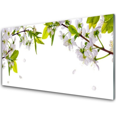 Obraz na skle Plátky Příroda 100x50 cm