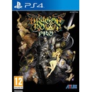 Dragons Crown Pro (Battle-Hardened Edition)