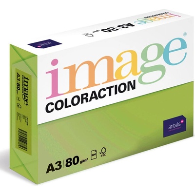 ANTALIS Barevný papír Image Coloraction A3 80g středně zelená 500 ks 119149