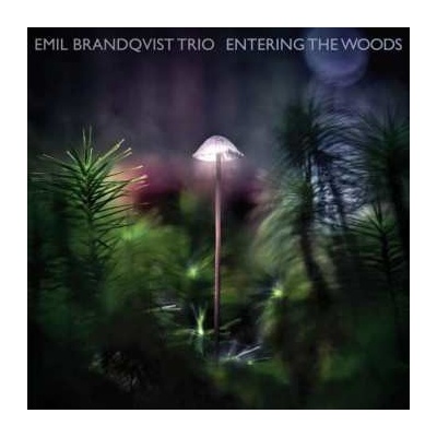 Skip LP: Emil Brandqvist Trio Entering The Woods