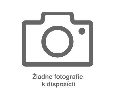 Beko RCHE 390 K30XP