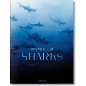 Sharks (ISBN: 9783836553599)