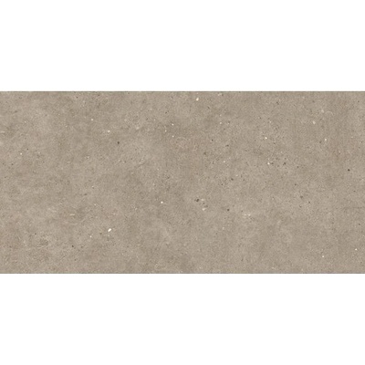 Impronta Italgraniti Silver Grain 2.0 60 x 120 cm taupe protišmykové 2cm 0,72m²