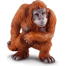 Collecta Orangutan