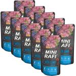 RAFI Възрастен Мини GF с Агне 10 x 150 г