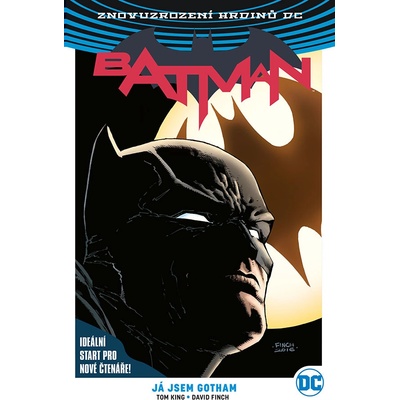Batman 1: Já jsem Gotham - Tom King, David Finch (ilustrácie)