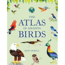 The Atlas of Amazing Birds: Fun, Colorful Watercolor Paintings of Birds from Around the World with Unusual Facts, Ages 5-10, Perfect Gift for You Sewell Matt