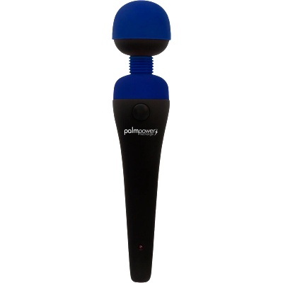 PalmPower recharge blue