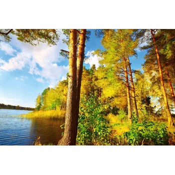 DIMEX ART Флизелинов фототапет слънчева гора 375 x 250 см