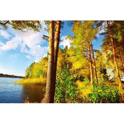 DIMEX ART Флизелинов фототапет слънчева гора 375 x 250 см