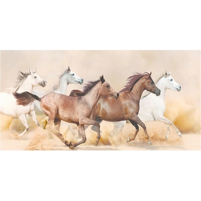 Fotoobraz na skle Kone v cvale 100x50 cm