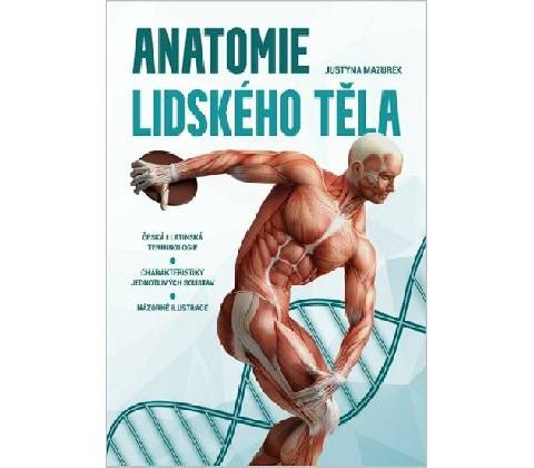 Lidské tělo