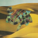 DJANGO DJANGO - DJANGO DJANGO LP
